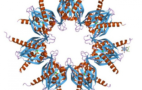 Reacciones químicas absolutamente robustas y control de sistemas bioquímicos