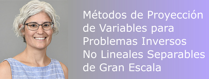 Métodos de Proyección de Variables para Problemas Inversos No Lineales Separables de Gran Escala